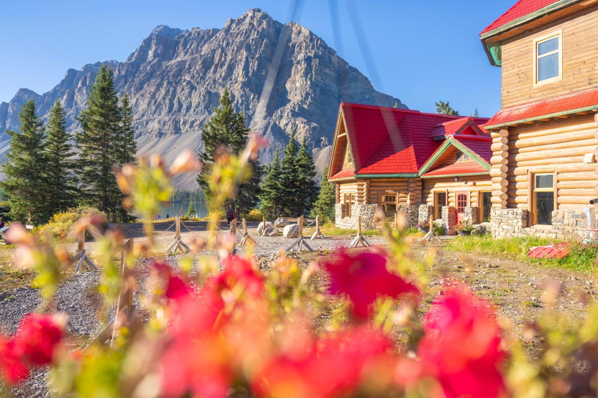 The Lodge At Bow Lake Lake Louise Exterior photo